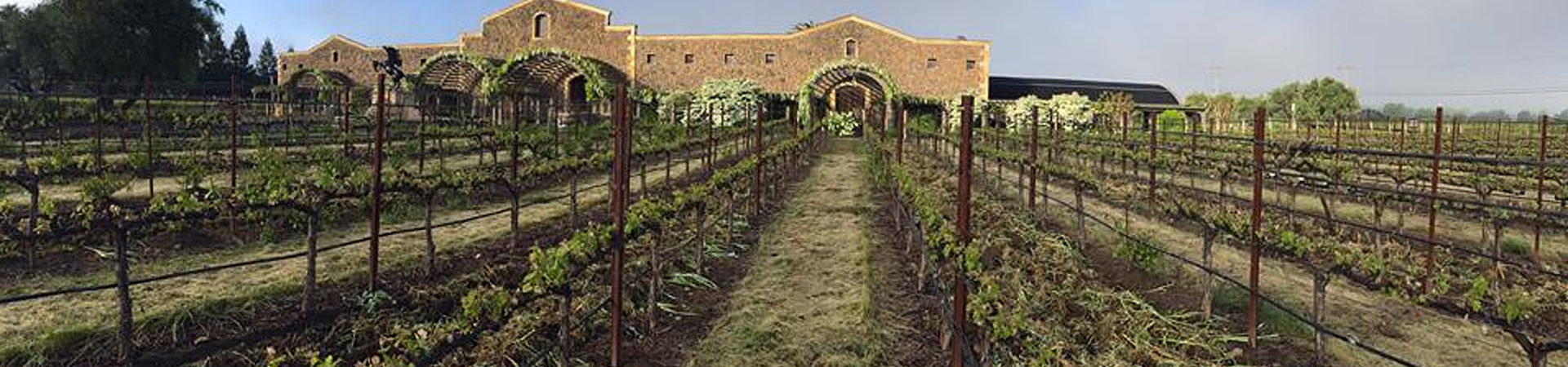 Scott Corridan Design - Hospitality, Wine Centers, Restaurants, Retail, Commercial